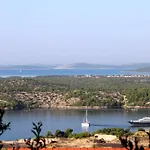 Maslina * Šibenik
