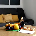 Maslina * Šibenik
