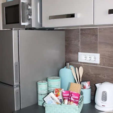 公寓 Maslina 希贝尼克