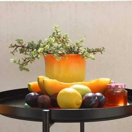 Maslina 希贝尼克